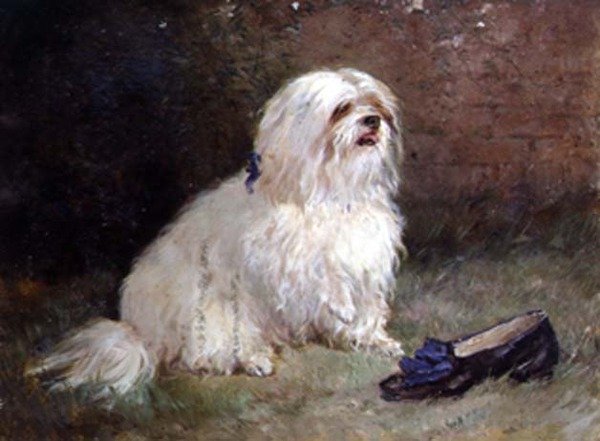 Maltan terrieri tekijältä Heywood Hardy