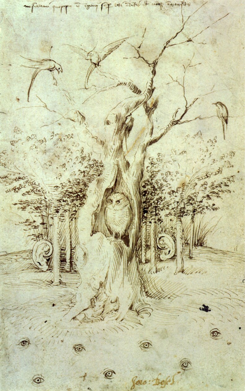 Metsä, joka kuulee ja kenttä, joka näkee tekijältä Hieronymus Bosch