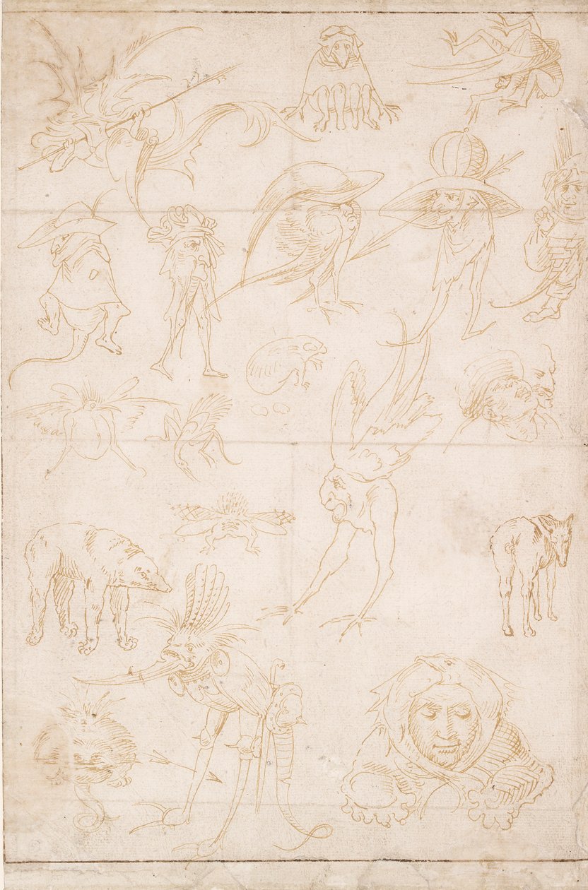 Grotesque Studies, c1500-1520 tekijältä Hieronymus Bosch
