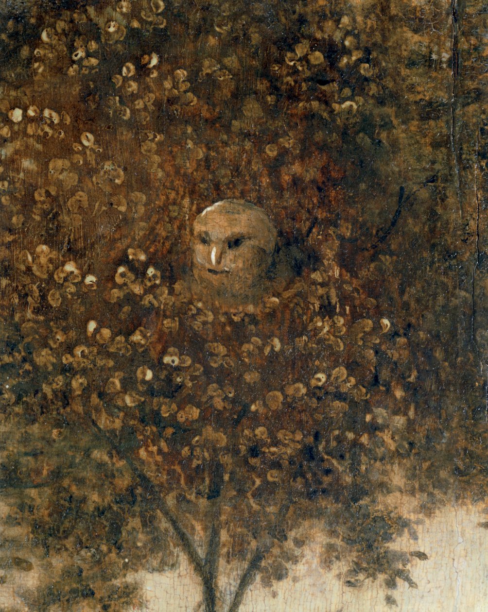 La Nef de Fous - Narrien laiva ... tekijältä Hieronymus Bosch