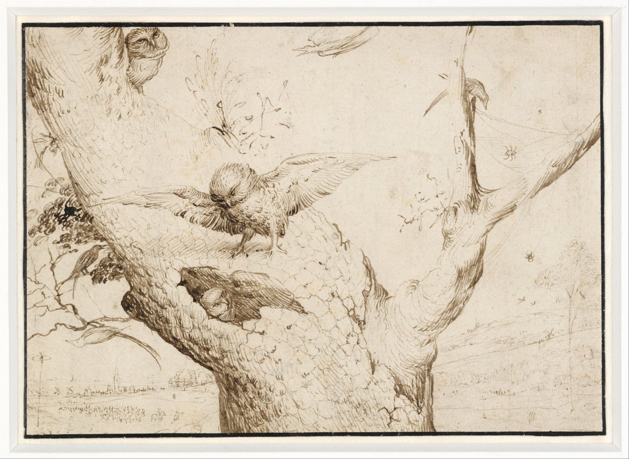 Pöllön pesä tekijältä Hieronymus Bosch