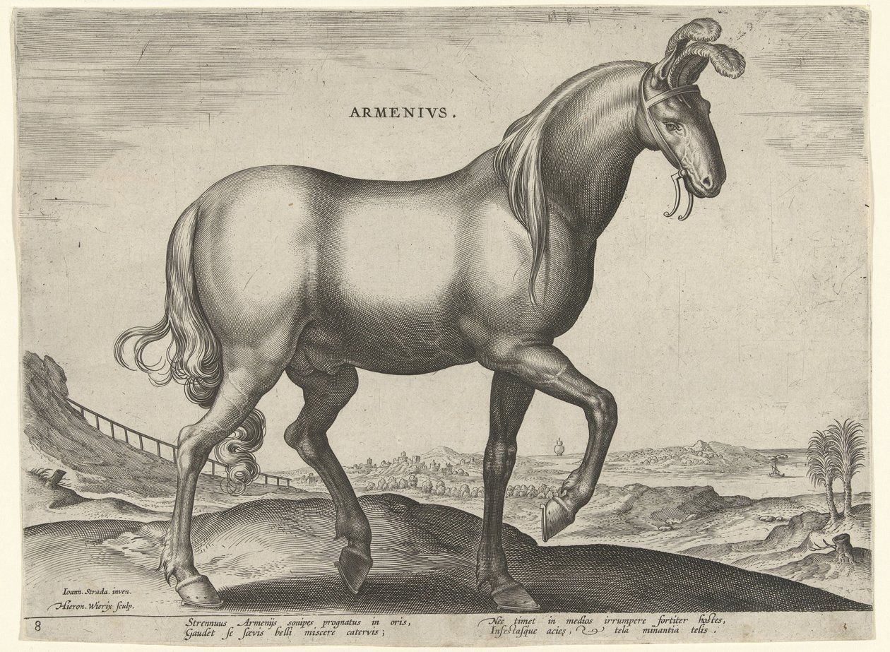 Hevonen Armeniasta (Armenius) armenialaiset (otsikko esineessä) Hevosrodut Itävallan Don Juanin kuninkaallisilta tallilta (sarjan nimi) Equile Ioannis Austriaci Caroli (sarjan nimi) tekijältä Hieronymus Wierix