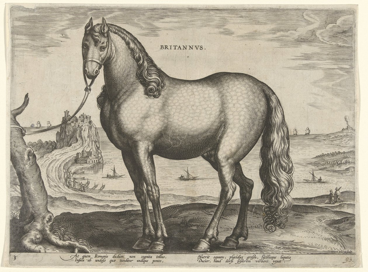 Hevonen Bretagnen (Brittanus) Britannvs (otsikko esineessä) Hevosrodut Itävallan Don Juanin kuninkaallisilta tallilta (sarjan nimi) Equile Ioannis Austriaci Caroli (sarjan nimi) tekijältä Hieronymus Wierix