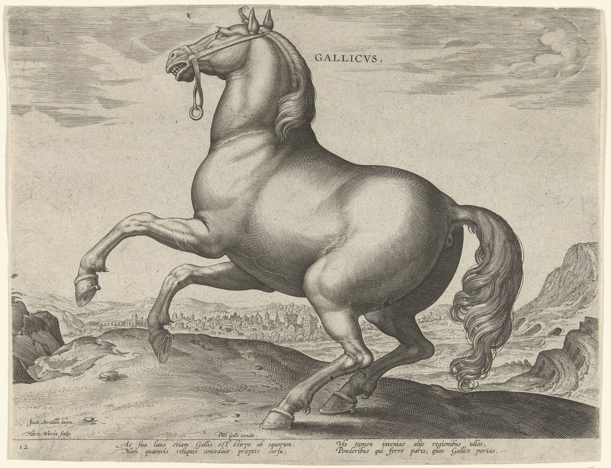 Hevonen Ranskasta (Gallicus) Gallicvs (otsikko objektissa) Hevosrodut Itävallan Don Juanin kuninkaallisilta tallilta (sarjan nimi) Equile Ioannis Austriaci Caroli (sarjan nimi) tekijältä Hieronymus Wierix