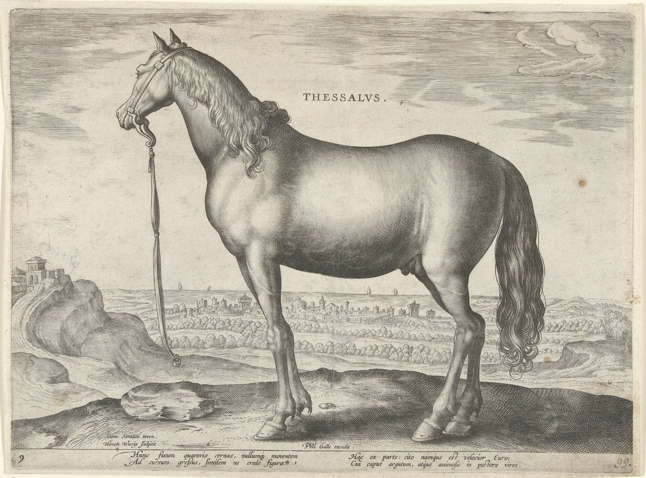 Hevonen Thessaliasta (Thessalus) Thessalvs (otsikko esineessä) Hevosrodut Itävallan Don Juanin kuninkaallisilta tallilta (sarjan nimi) Equile Ioannis Austriaci Caroli (sarjan nimi) tekijältä Hieronymus Wierix