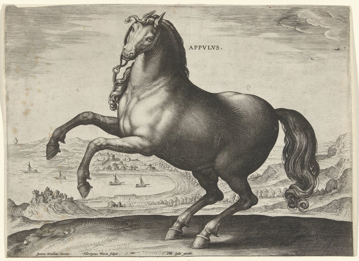 Hevonen Etelä-Italiasta (Appulus) Appvlvs (otsikko objektissa) Hevosrodut Itävallan Don Juanin kuninkaallisilta tallilta (sarjan nimi) Equile Ioannis Austriaci Caroli (sarjan nimi) tekijältä Hieronymus Wierix