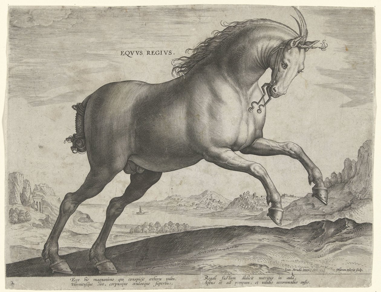 Equus Regius -rodun hevonen (kuninkaallinen) Eqvvs Regivs (otsikko objektissa) Hevosrodut Itävallan Don Juanin kuninkaallisilta tallilta (sarjan nimi) Equile Ioannis Austriaci Caroli (sarjan nimi) tekijältä Hieronymus Wierix