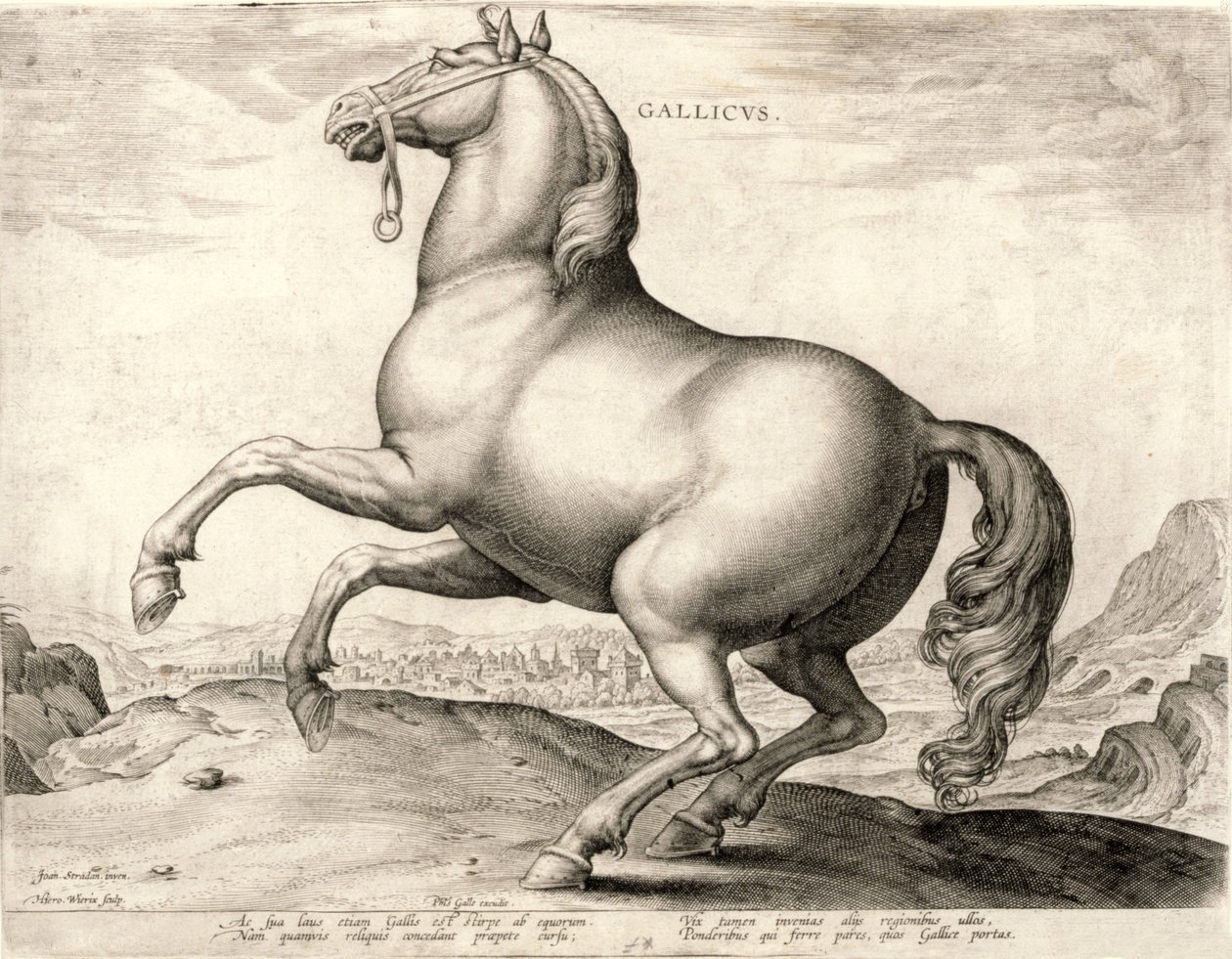 Gallicus sarjasta Hevoset Itävallan Don Juanin tallilta (kaiverrus kudoksiin) tekijältä Hieronymus or Jerome Wierix