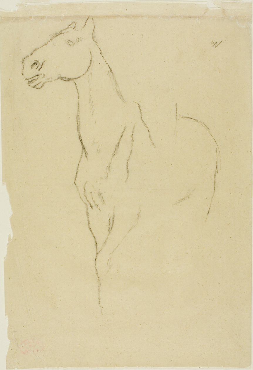 Hevonen käännetty kolme neljäsosaa tekijältä Hilaire Germain Edgar Degas