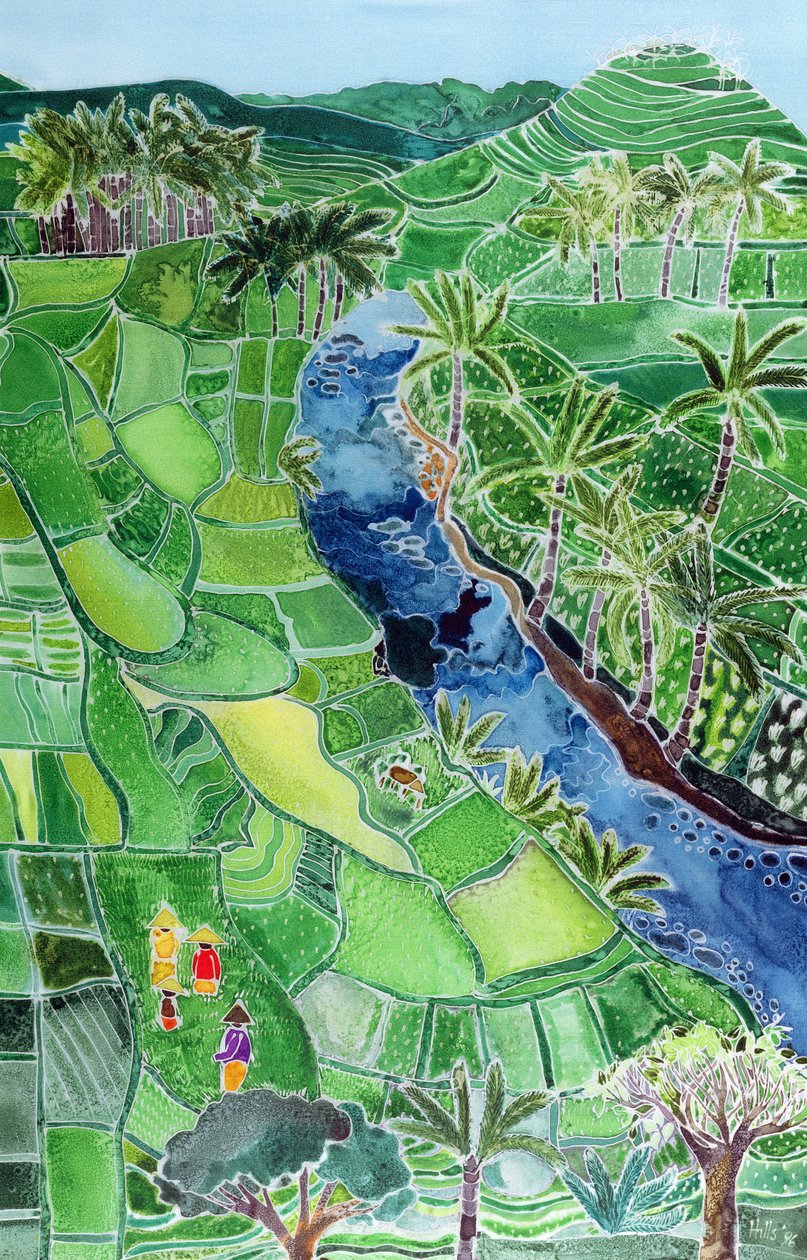 River Agung, Bali, 1996 (värilliset musteet silkille) tekijältä Hilary Simon