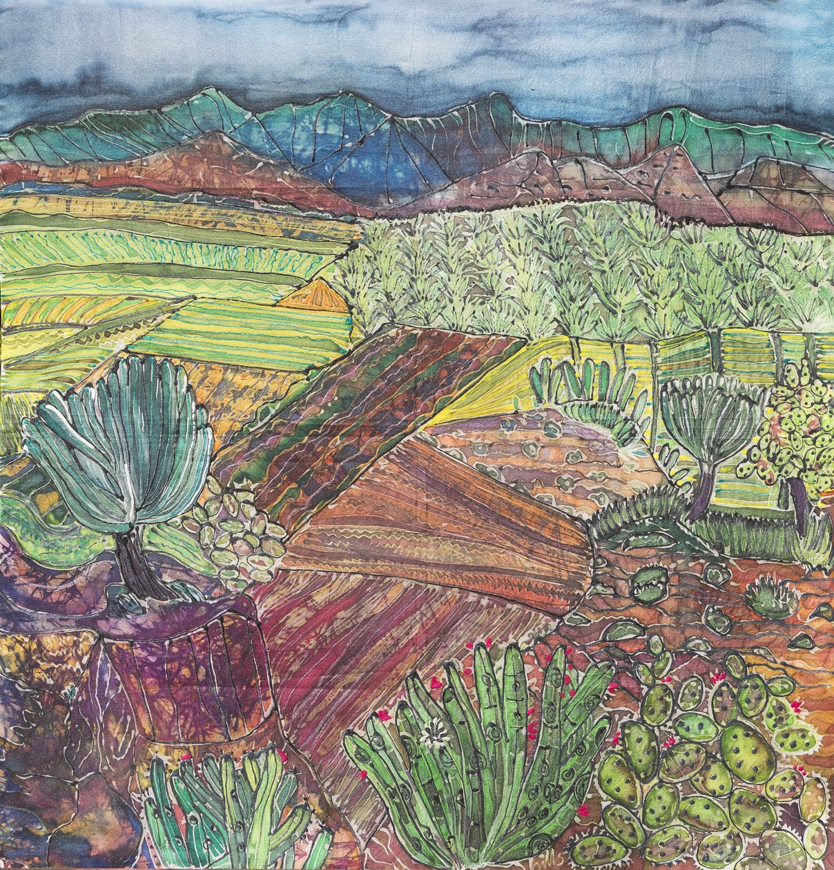 Oaxacan maisema tekijältä Hilary Simon