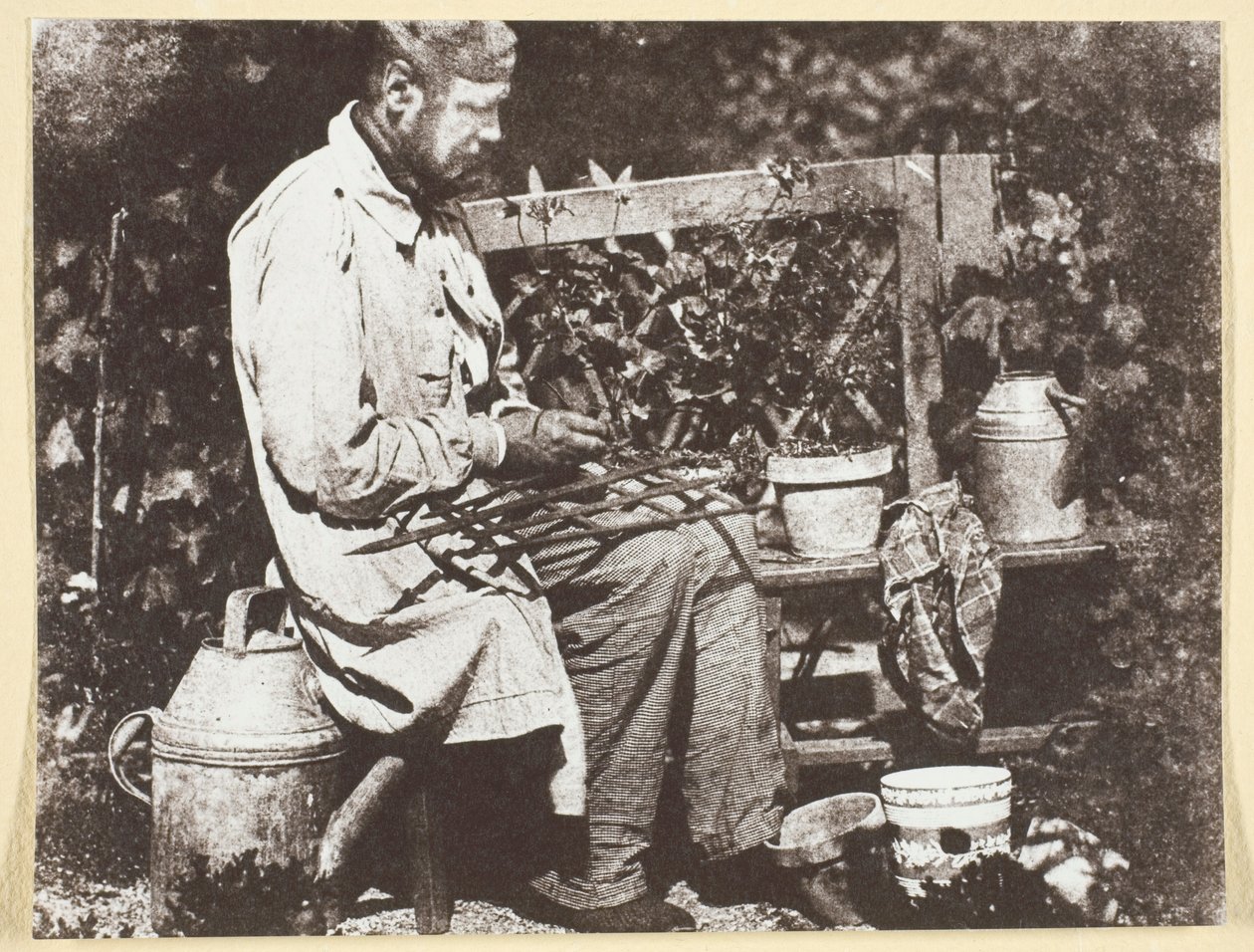 Bayard Jardinier tekijältä Hippolyte Bayard