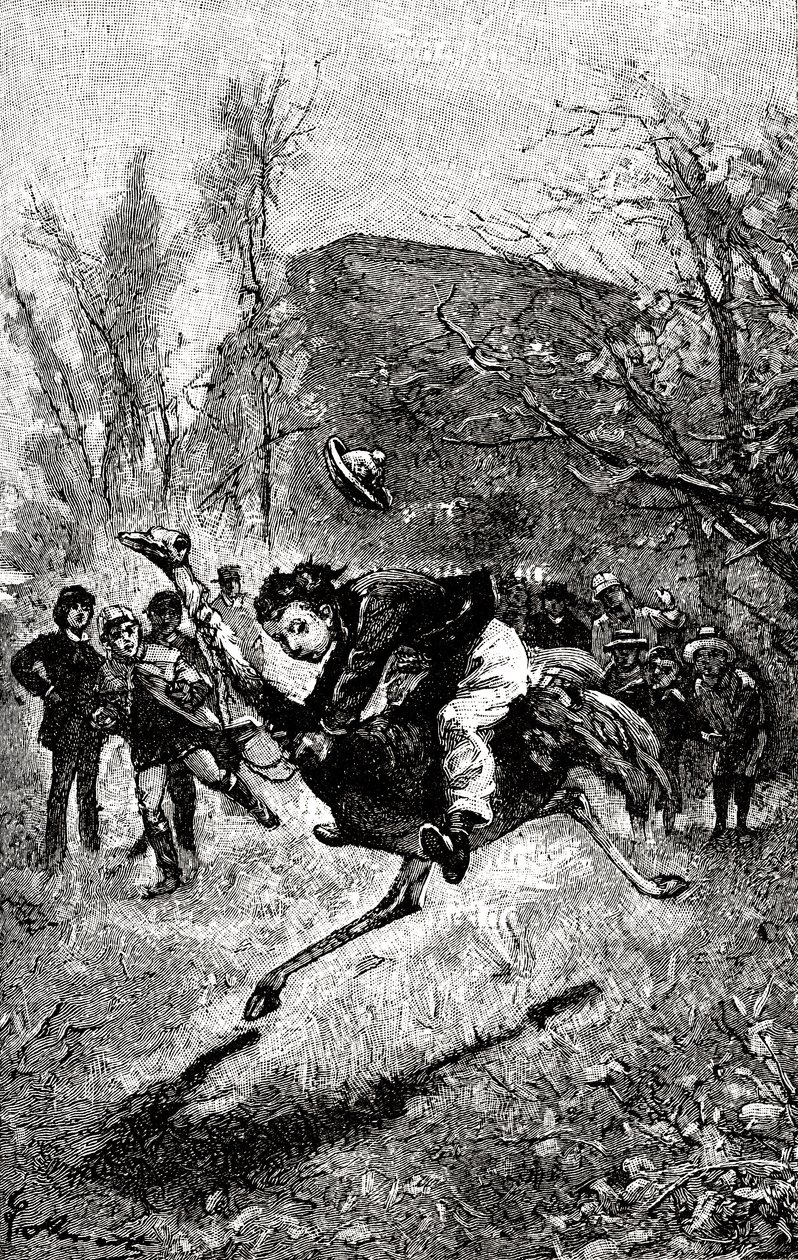Ang batang Serbisyo ay nakasakay sa isang ostrich. Engravingfinn tekijältä Hippolyte Leon Benett