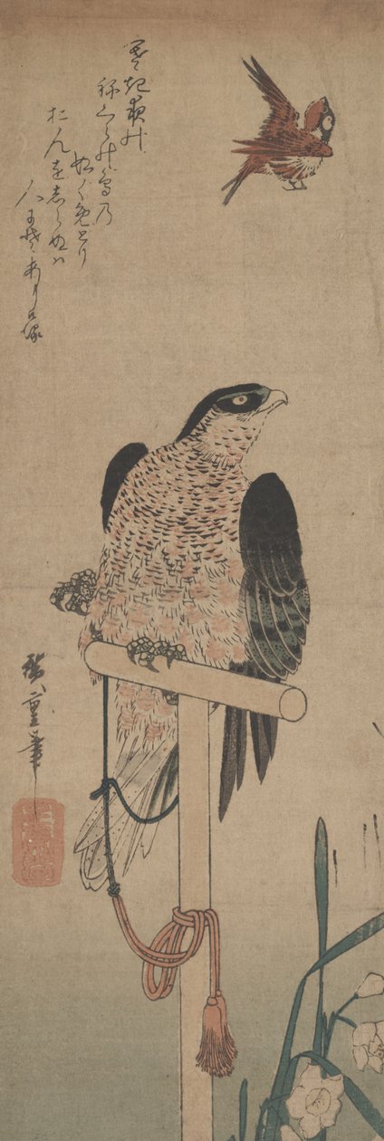 Haukka ahvenella, varpusella ja narsissilla tekijältä Hirokage Utagawa
