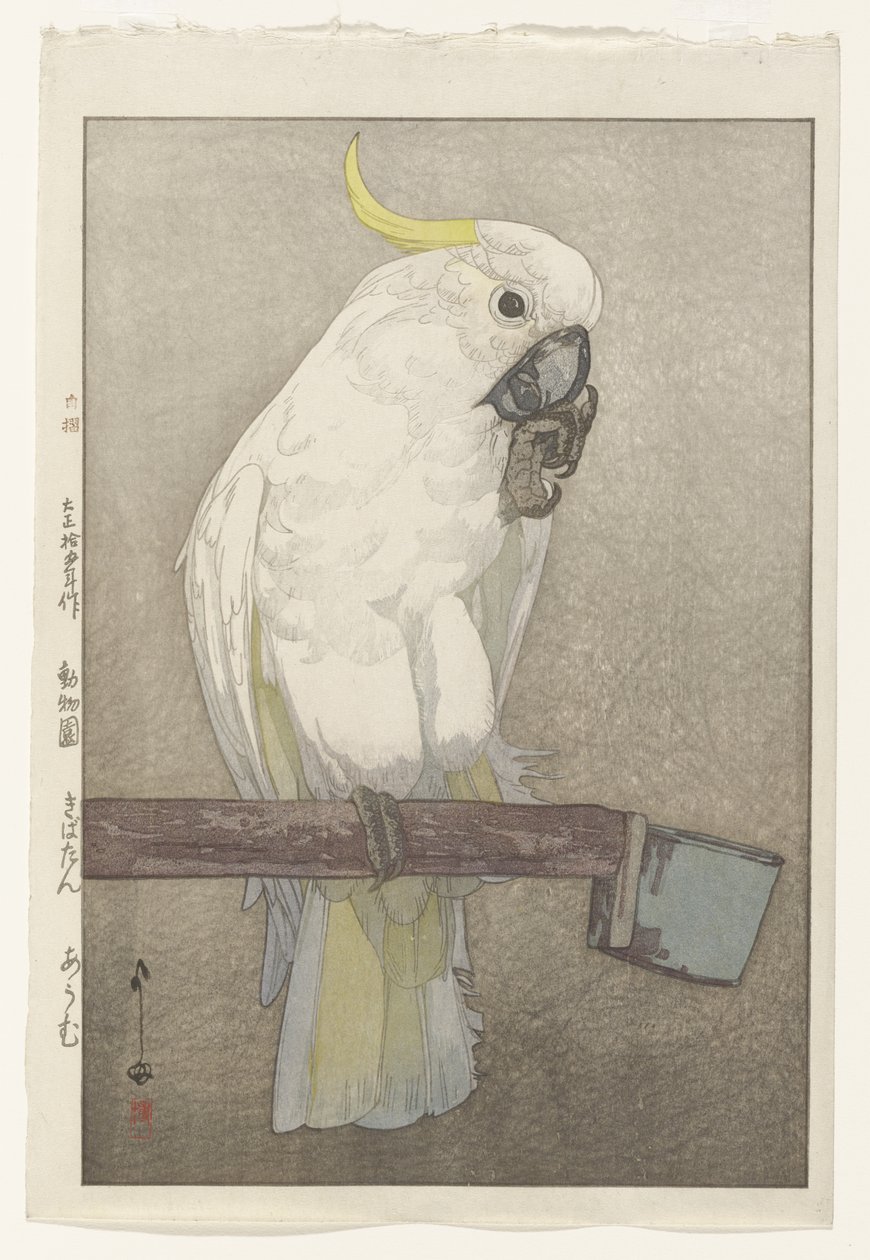 Rikkiharjakakadu tekijältä Hiroshi Yoshida