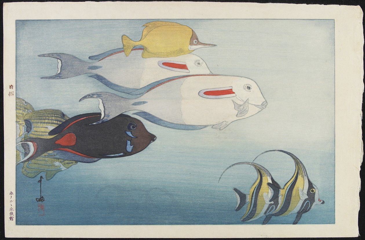 Honolulun akvaario tekijältä Hiroshi Yoshida