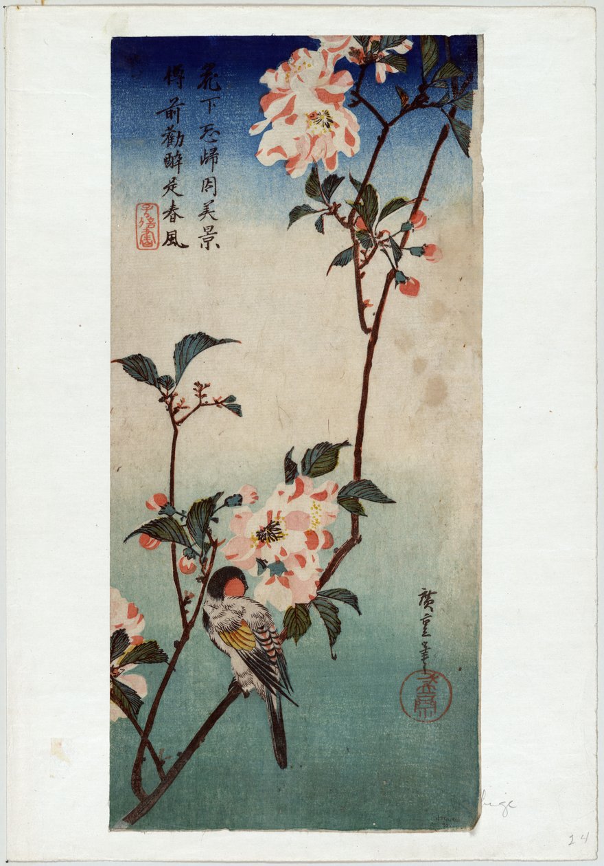 Kaido ni Shokin (Pieni lintu Kaidozakuran oksalla) tekijältä Utagawa Hiroshige