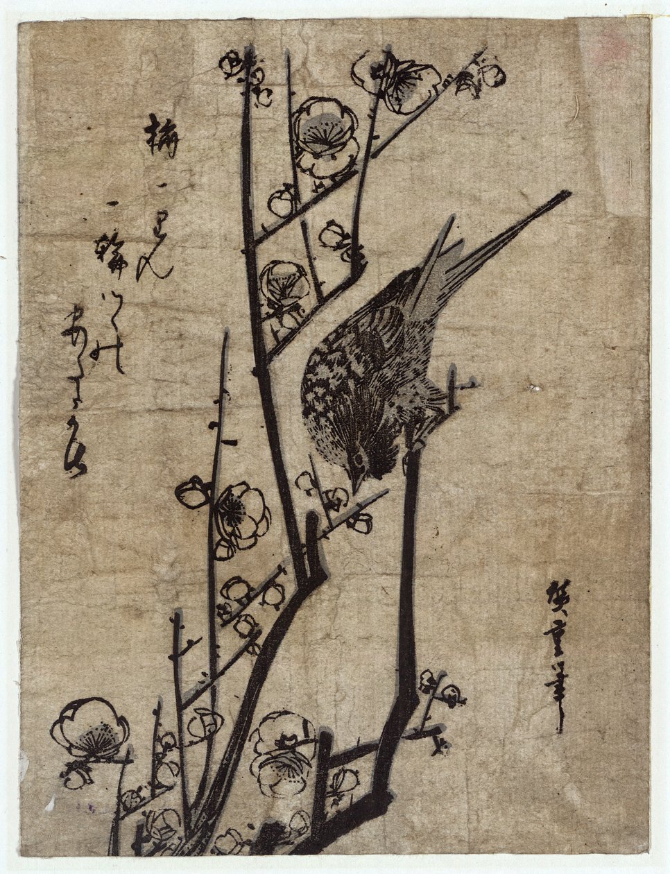 Ume ni Uguisu (Luumukukka ja Bush Warbler) tekijältä Utagawa Hiroshige
