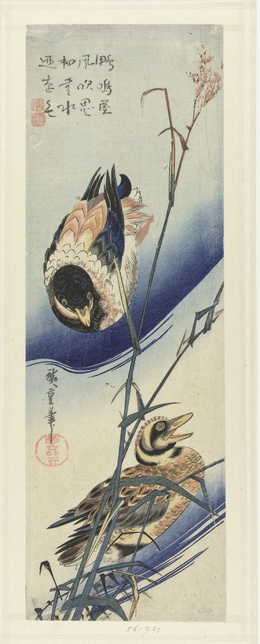 Ànecs en acabat de canya tekijältä Hiroshige (I) , Utagawa