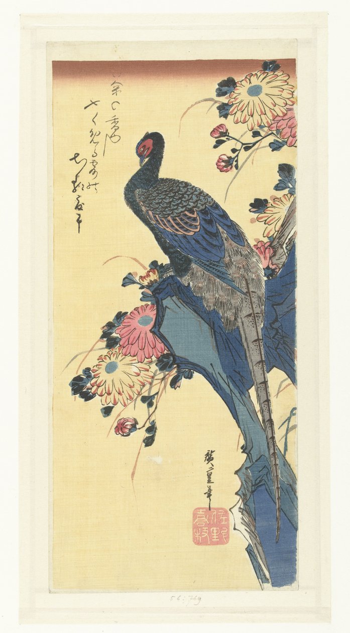 Fasaani ja krysanteemit tekijältä Hiroshige (I) , Utagawa