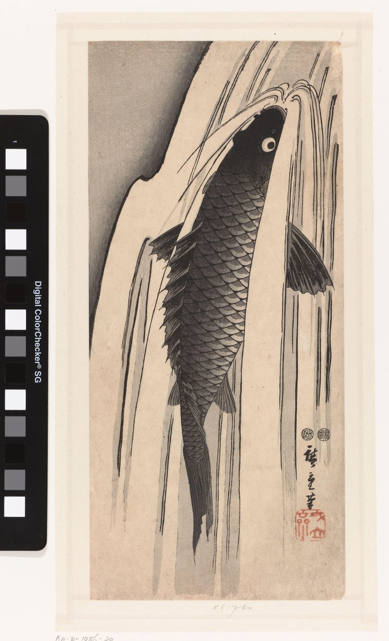 Karppi uimassa vesiputousta vasten tekijältä Hiroshige (I) , Utagawa