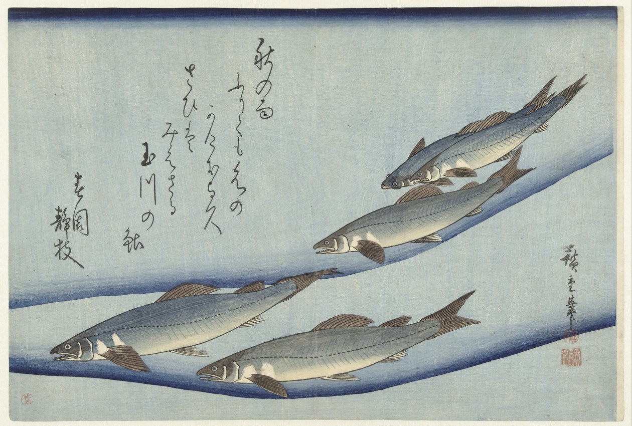 Taimen tekijältä Hiroshige (I) , Utagawa