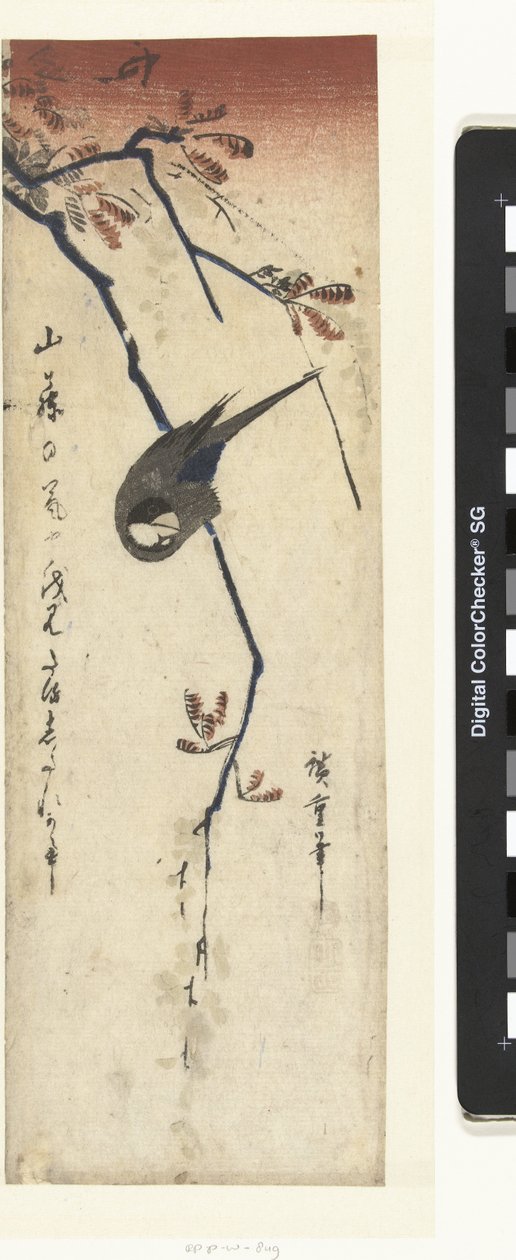 Lintu ja wisteria tekijältä Hiroshige (I) , Utagawa