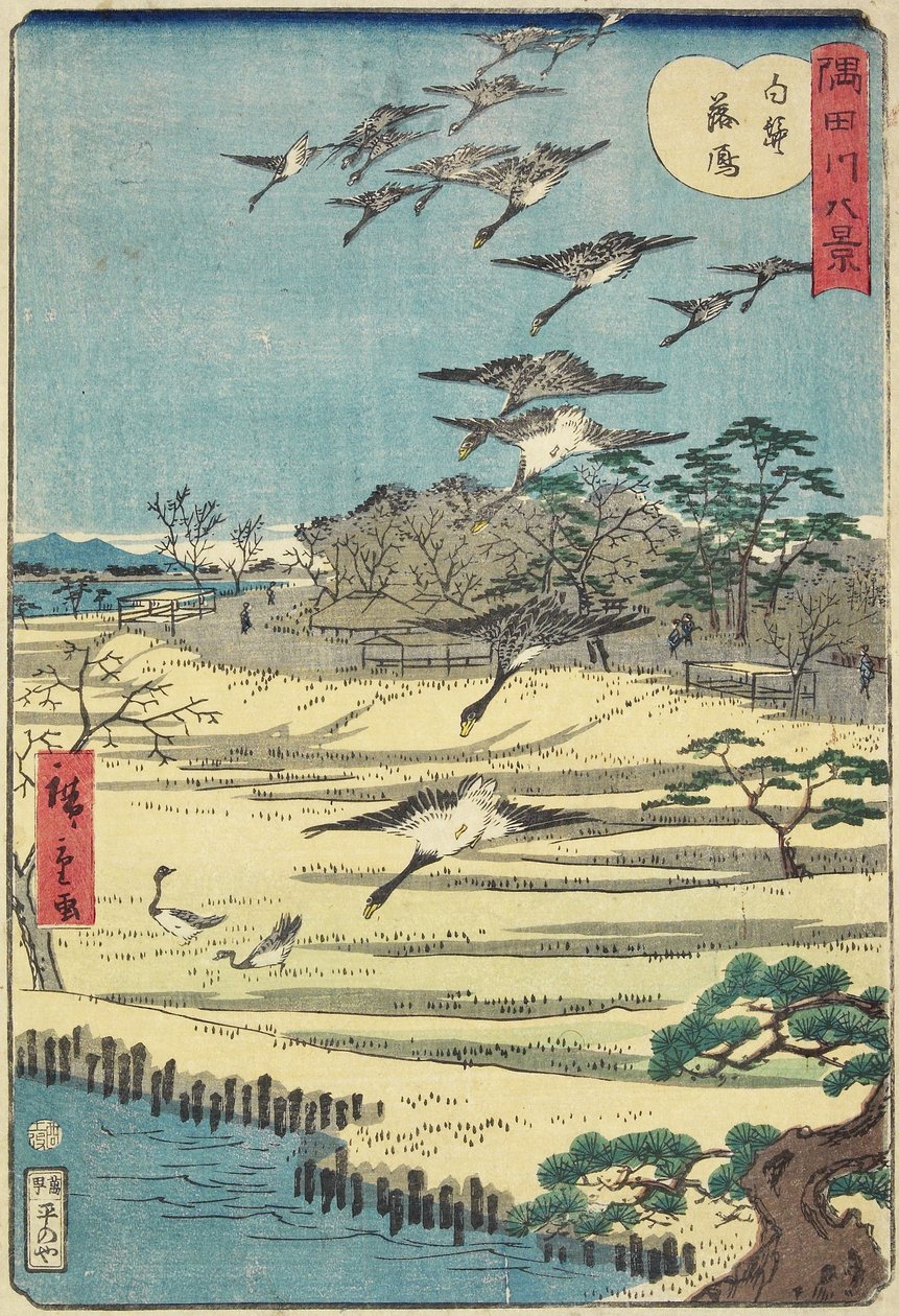 Kotihanhia Shirahigessä, marraskuu 1861 tekijältä Hiroshige II