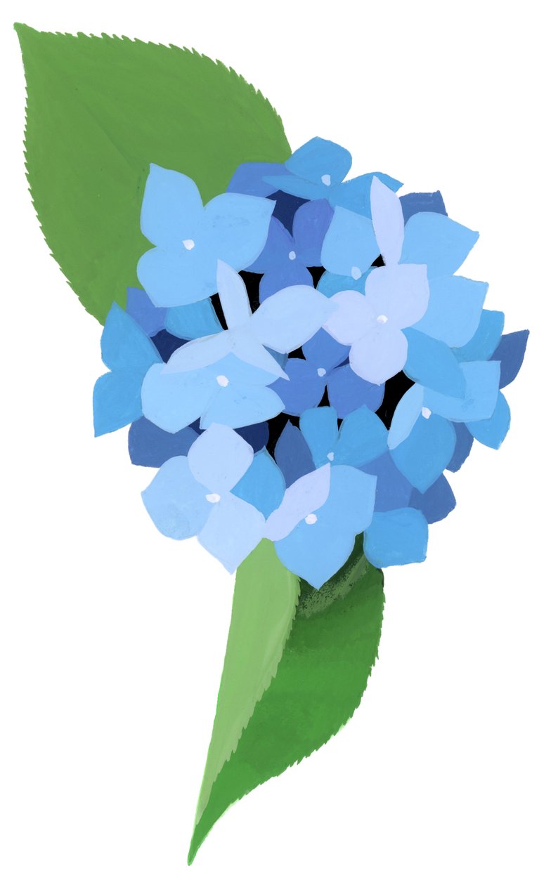 hortensia tekijältä Hiroyuki Izutsu