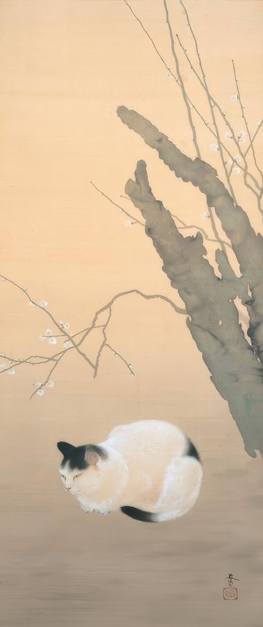 Hishida Shunso, Katze und Pflaumenblüten tekijältä Hishida shunso