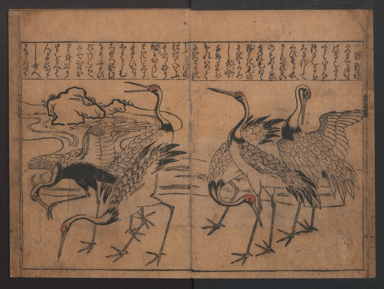 Illustrationen von Vögeln und Blumen (Kachō e-zukushi) tekijältä Hishikawa Moronobu