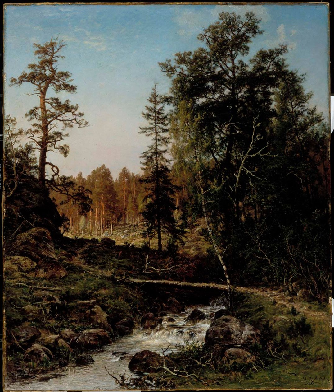 Metsämaisema Hauholta tekijältä Hjalmar Munsterhjelm