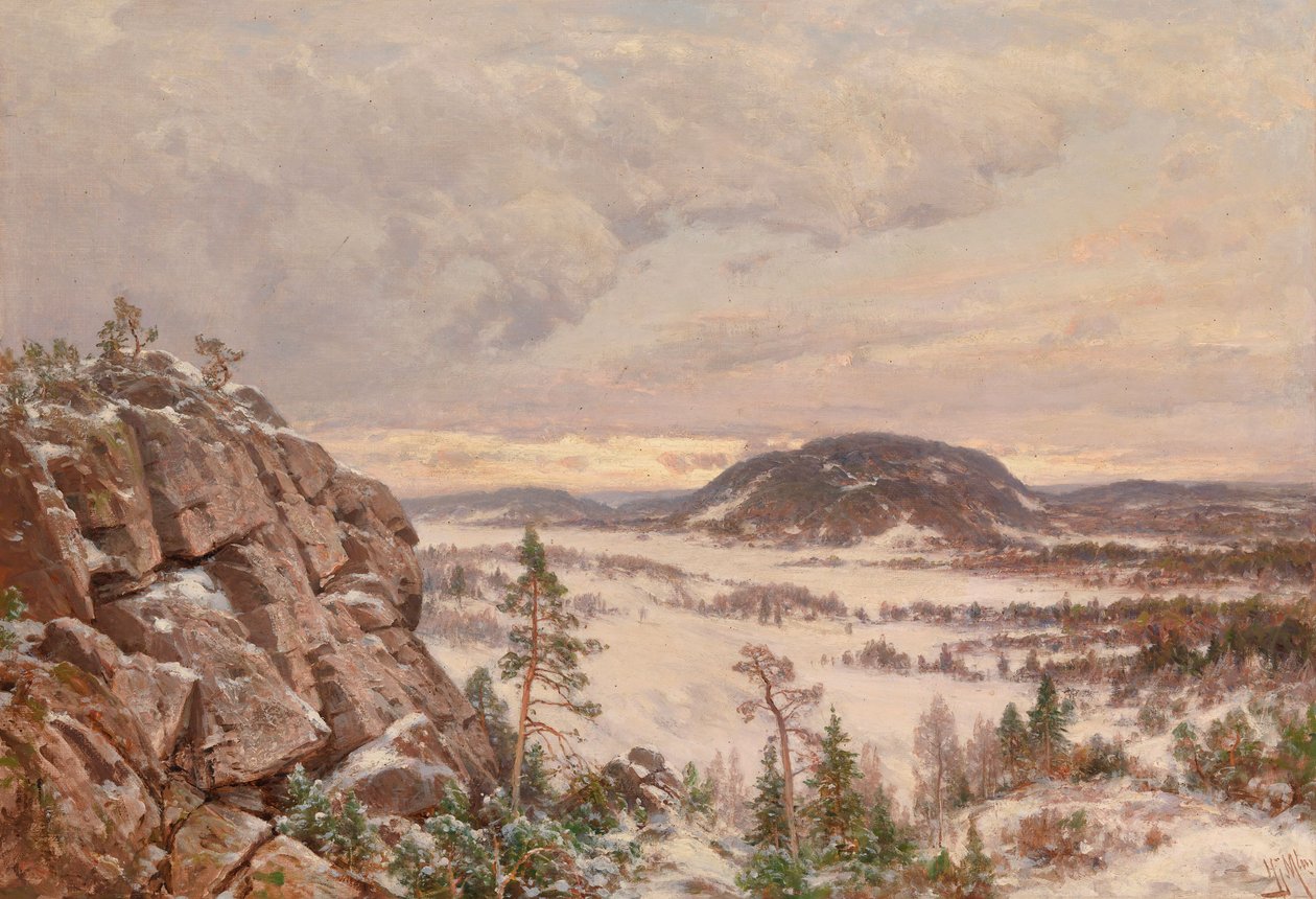 Talviaamu tekijältä Hjalmar Munsterhjelm