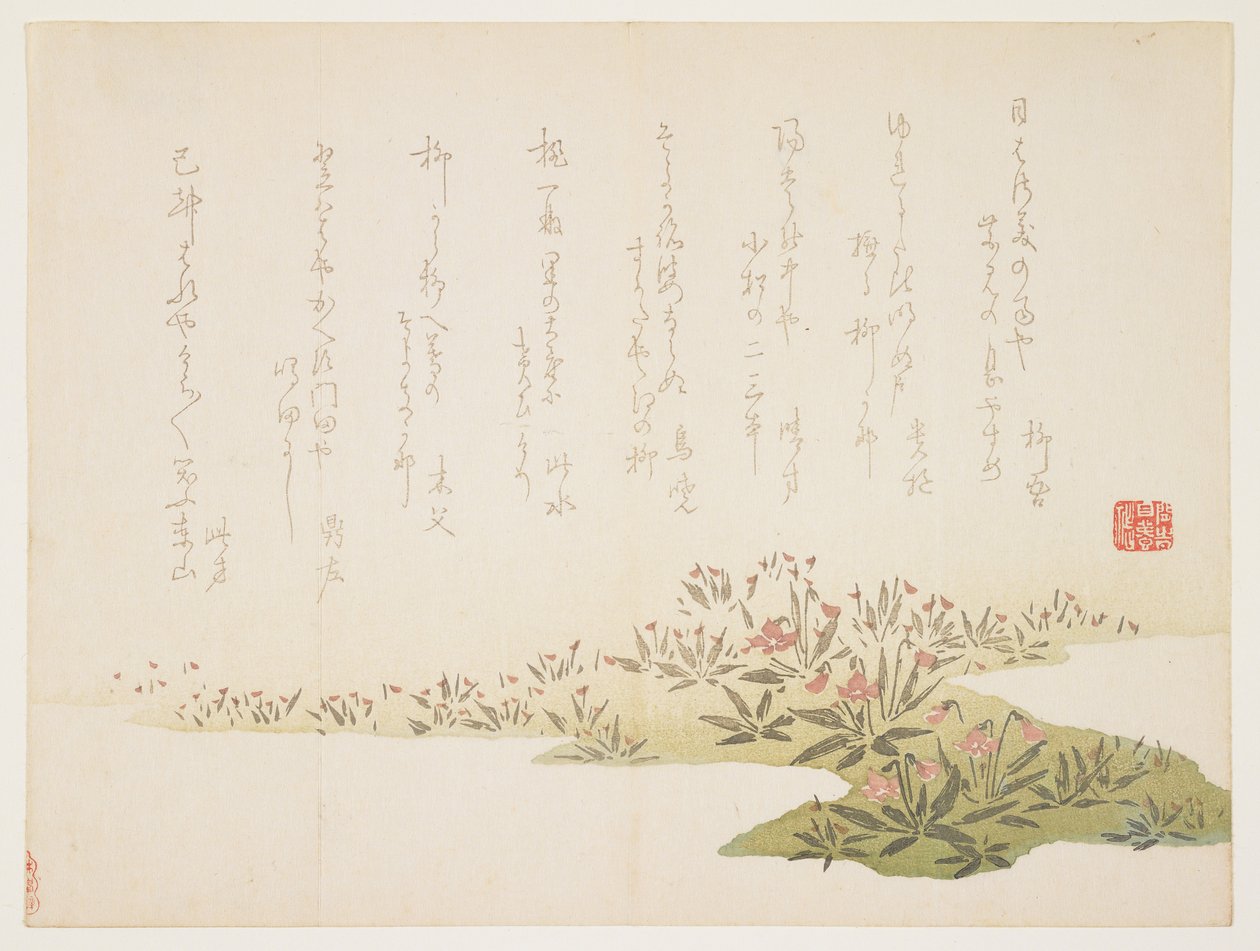 Violetit, n.1848-53 (värillinen puupiirrosjälki) tekijältä Ho Shu