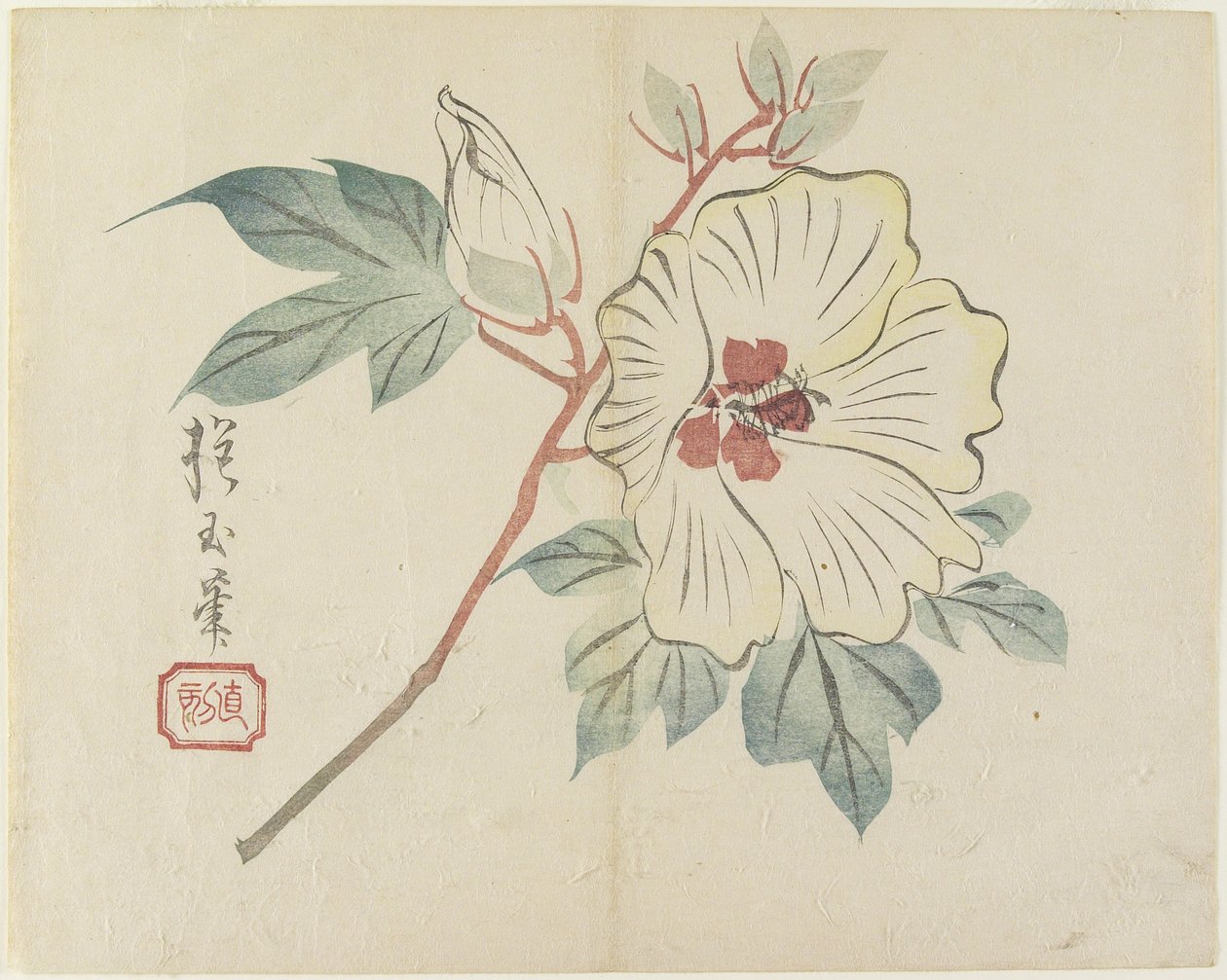 (Suuri valkoinen kukka), n. 1830 tekijältä Hogyoku