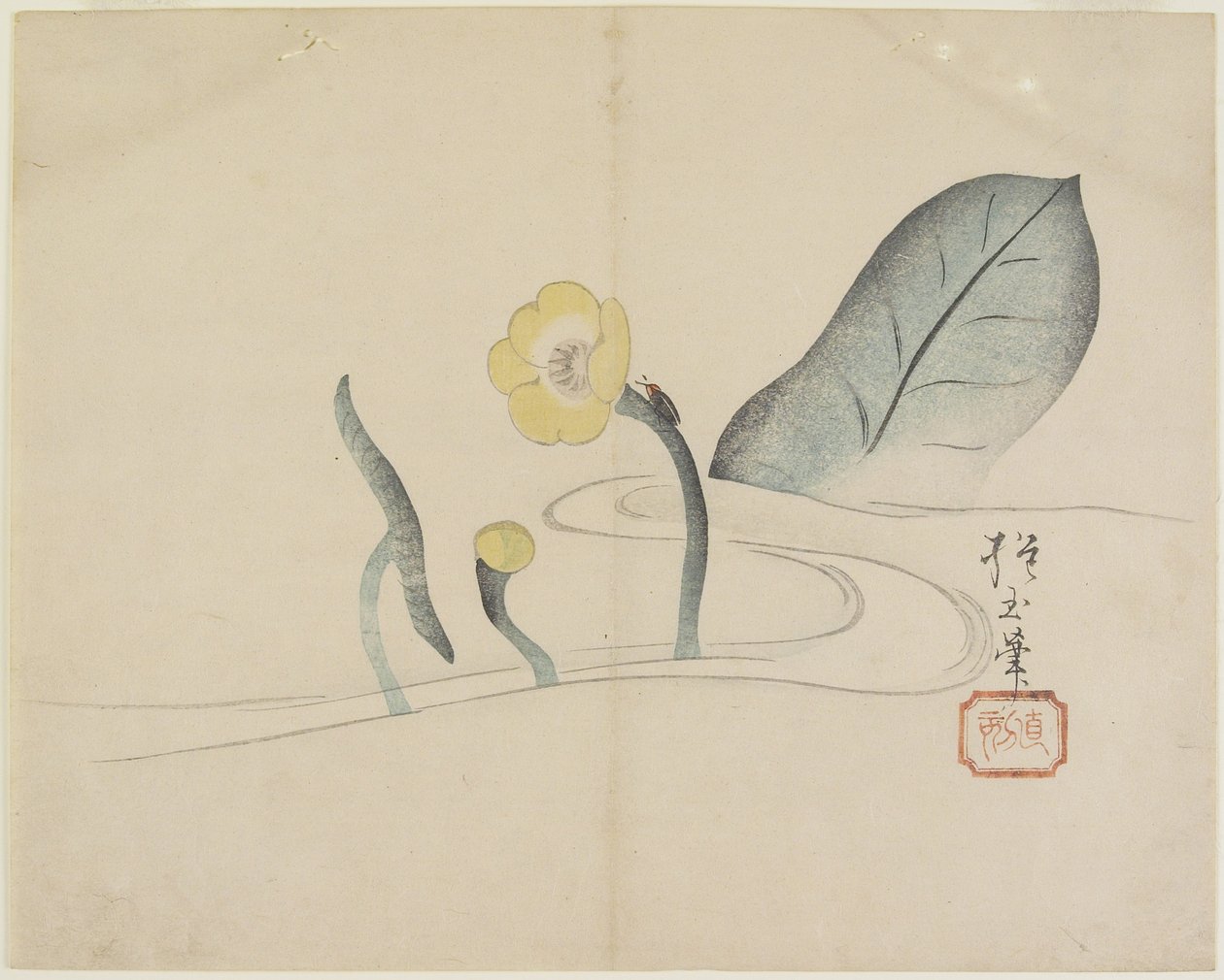 (Lotus and a Gold Bug), c. 1830 tekijältä Hogyoku