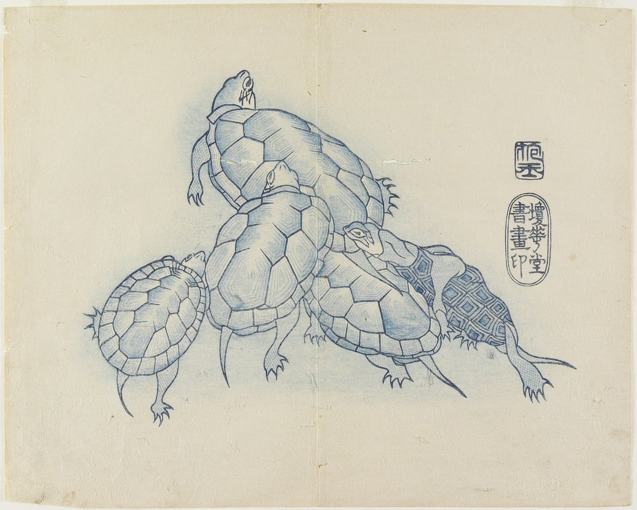 (kilpikonnat), c. 1830 tekijältä Hogyoku