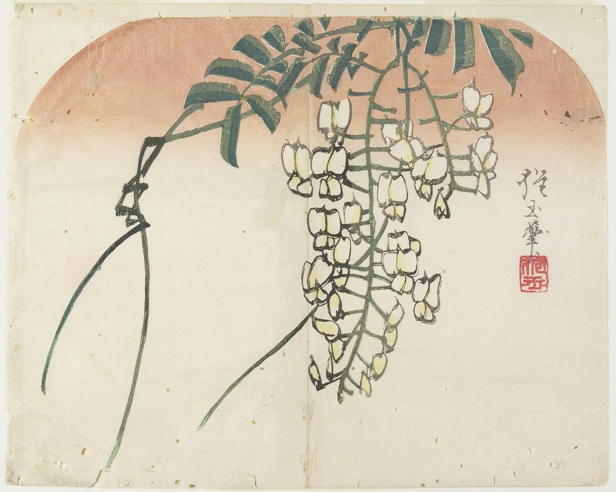 (Valkoinen Wisteria), n. 1830 tekijältä Hogyoku