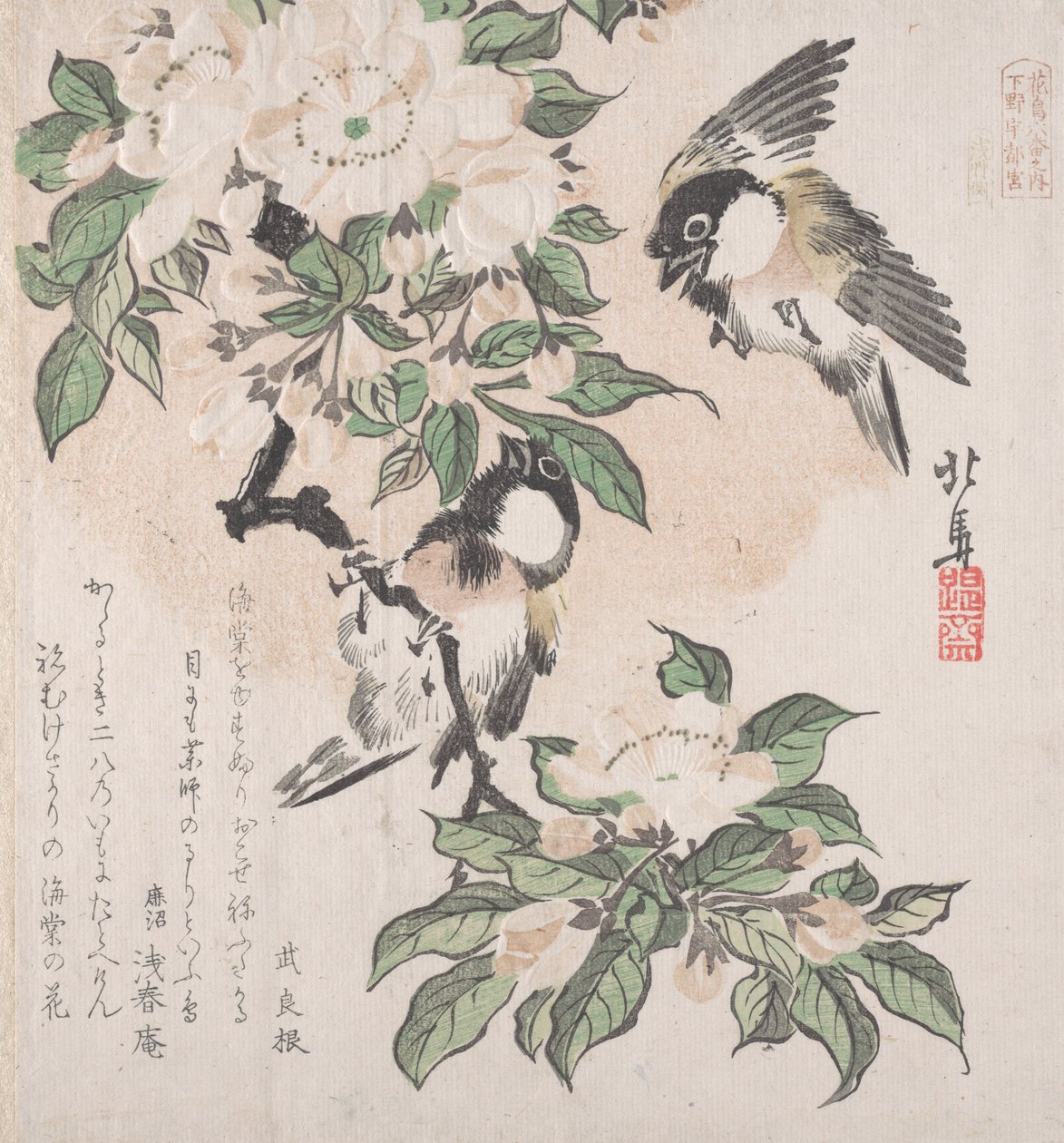 Spring Rain Collection Harusame shu, voi. 3: Marsh-tits ja Crab Apple Flowers, n. ..., n. 1820. tekijältä Hokuba