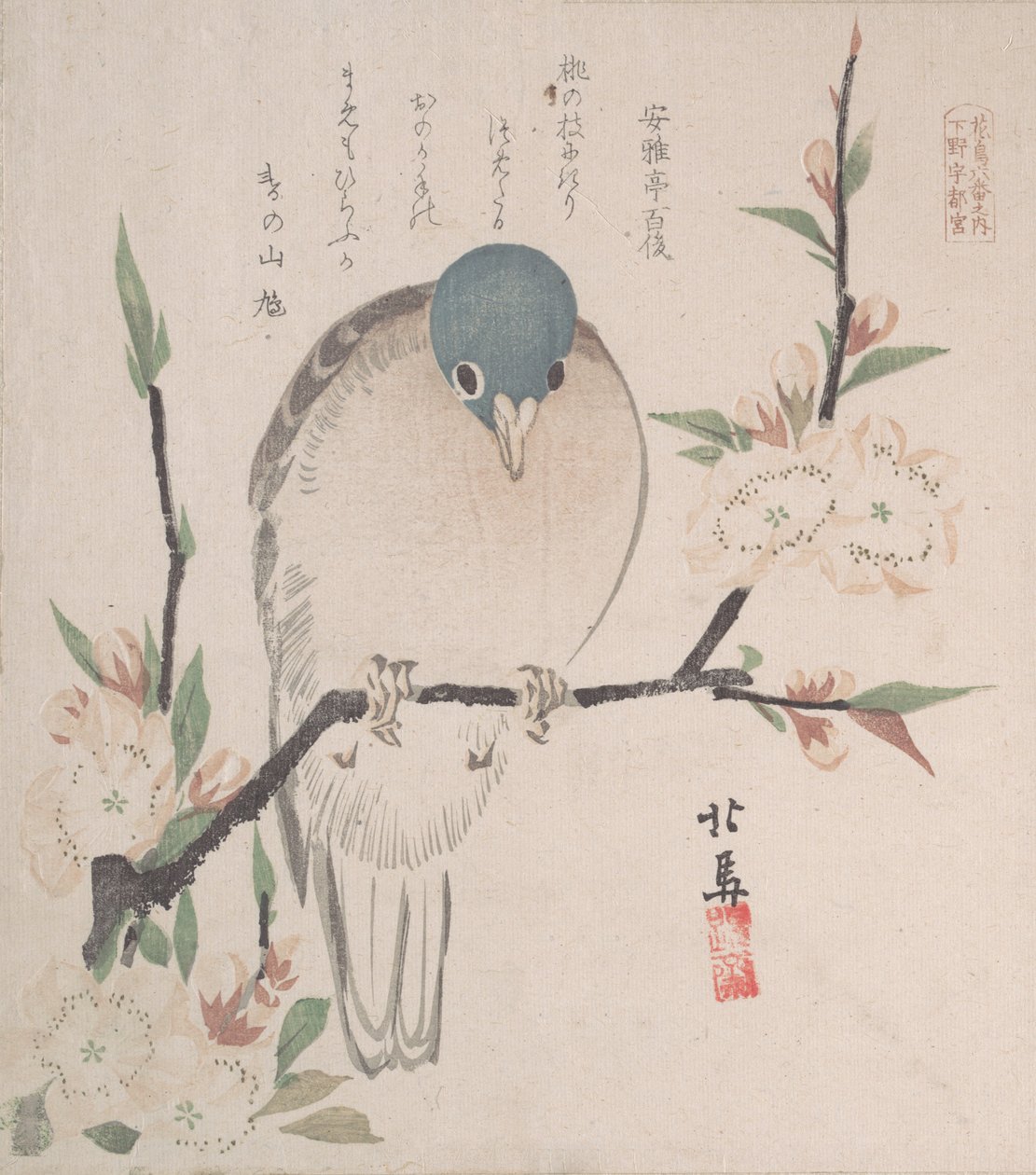 Spring Rain Collection Harusame shu, voi. 3: Mountain Dove ja Peach Flowers, n. 1820, n. 1820. tekijältä Hokuba