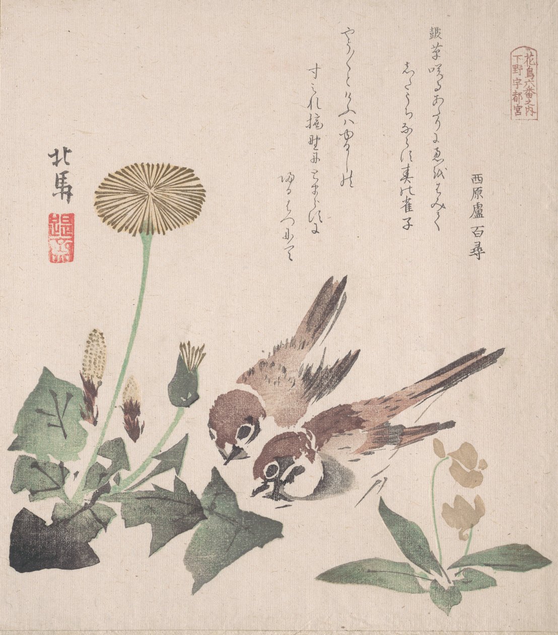 Spring Rain Collection Harusame shu, voi. 3: Varpuset ja voikukat, n. 1820, n. 1820. tekijältä Hokuba
