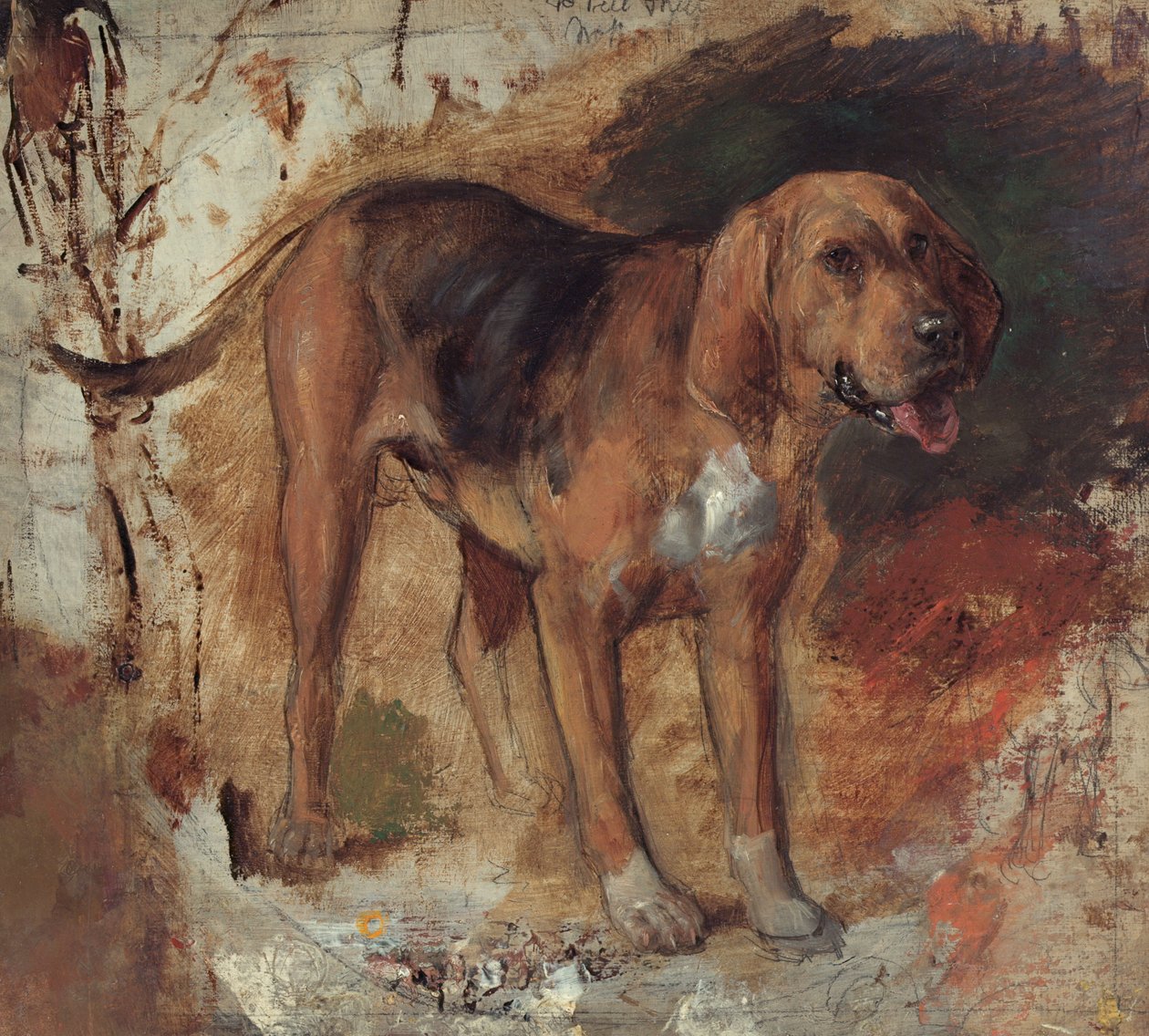 Tutkimus verikoirasta tekijältä William Holman Hunt