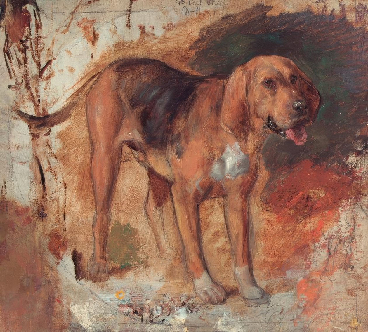 H.Hunt, Studie eines Bluthundes tekijältä Holman Hunt