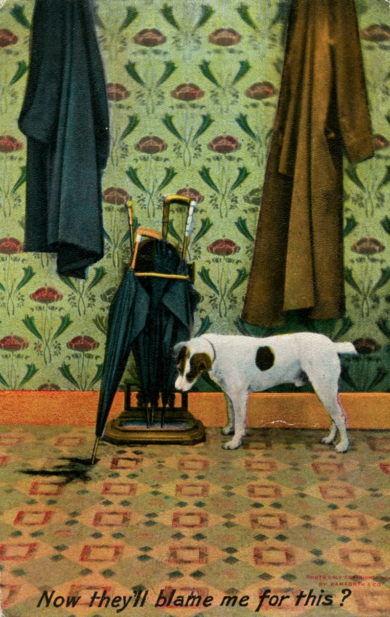 "Nyt he syyttävät minua tästä", C1910. tekijältä Holmfirth Bamforth and Co