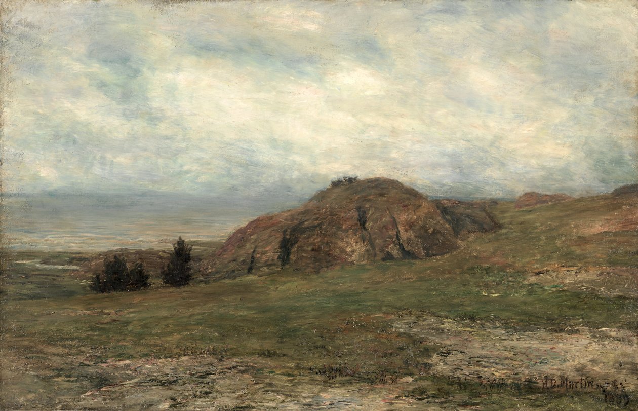 Wild Coast, Newport tekijältä Homer Dodge Martin