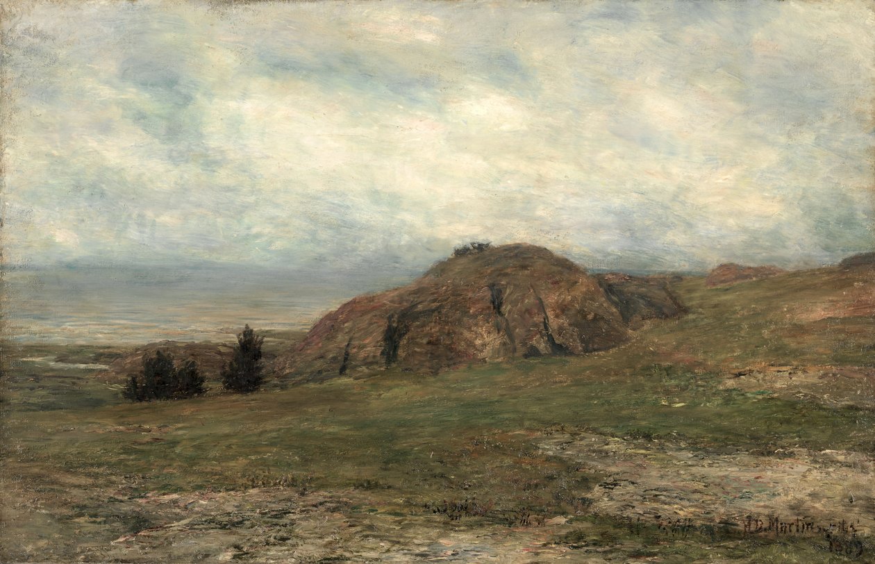 Wild Coast, Newport tekijältä Homer Dodge Martin