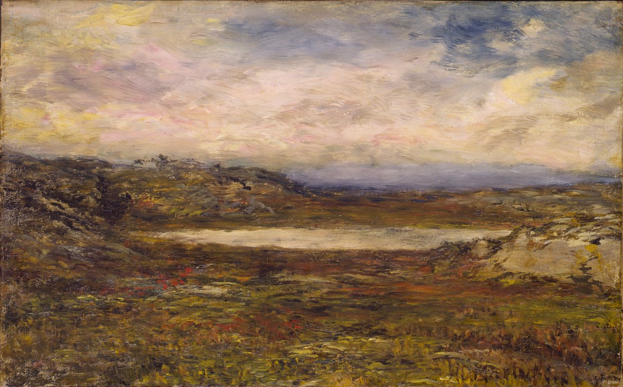 Wild Coast, Newport tekijältä Homer Dodge Martin