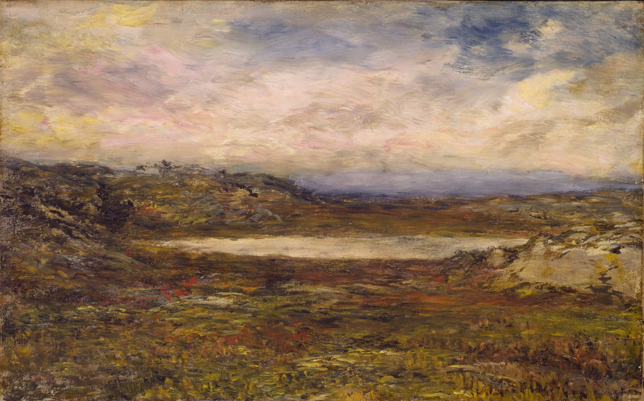 Wild Coast, Newport, n. 1885-1895. tekijältä Homer Dodge Martin