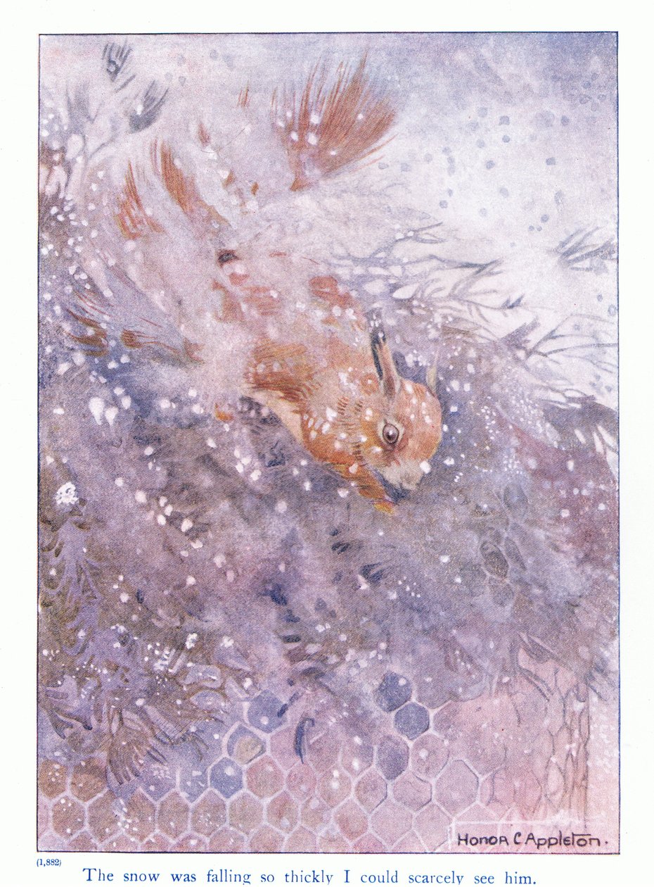 Lunta satoi niin paksusti, että tuskin pystyin näkemään häntä, kuvitus Eleanor Tyrellin teoksesta More About the Squirrels, n. 1915 (väri litho) tekijältä Honor Charlotte Appleton