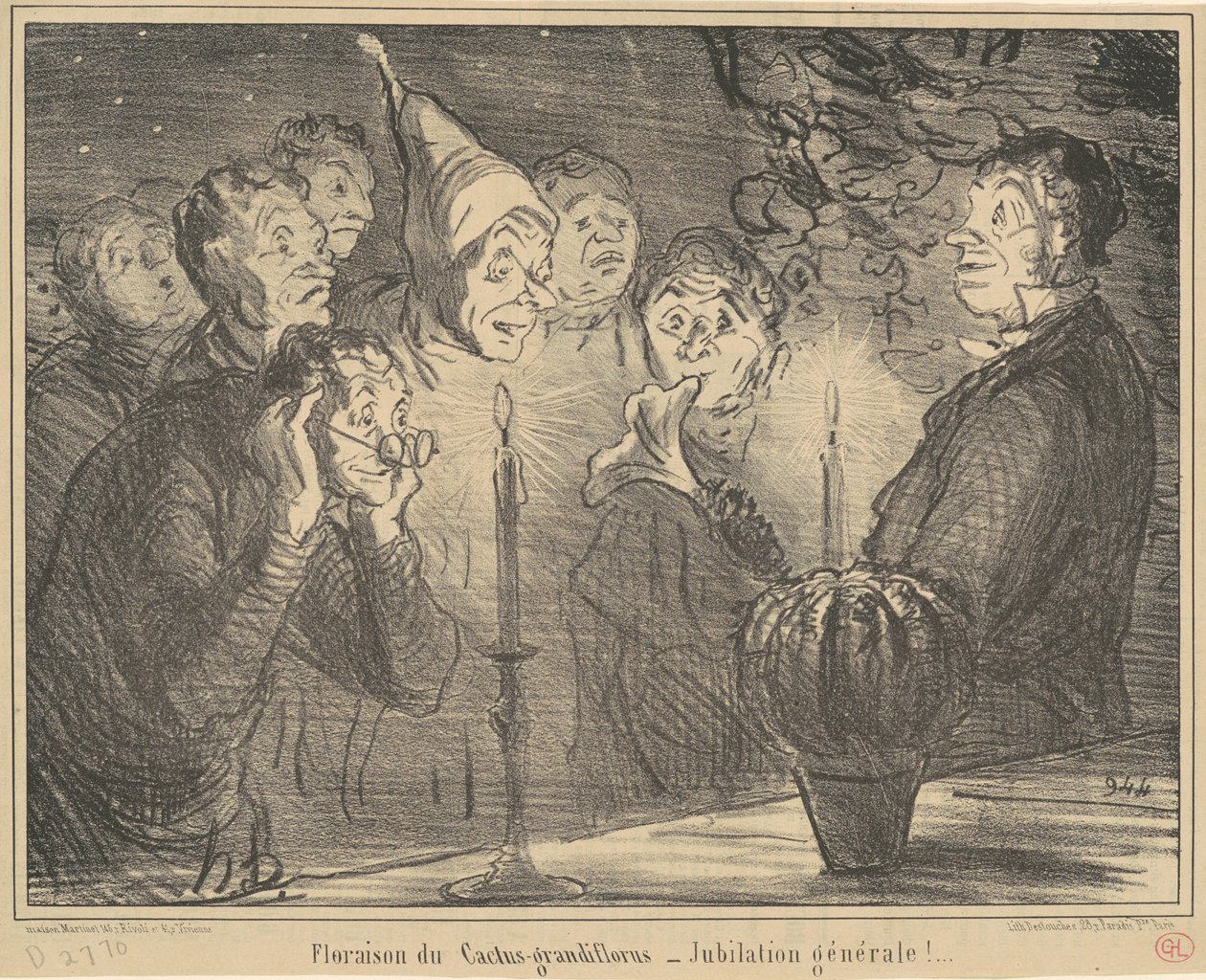 Cactus-grandifloruksen kukinta... tekijältä Honoré Daumier